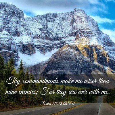 Picture 03 - Psalms 119:98 ASV - Thy commandments make me wiser than mine enemies; - Bible Verse Picture
