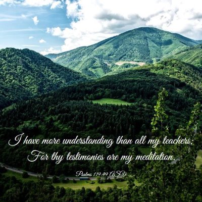 Picture 03 - Psalms 119:99 ASV - I have more understanding than all my teachers; - Bible Verse Picture