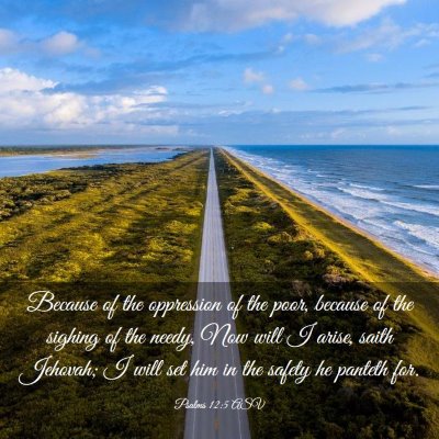 Picture 03 - Psalms 12:5 ASV - Because of the oppression of the poor, because of - Bible Verse Picture