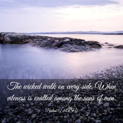 Picture 03 - Psalms 12:8 ASV - The wicked walk on every side, When vileness is - Bible Verse Picture