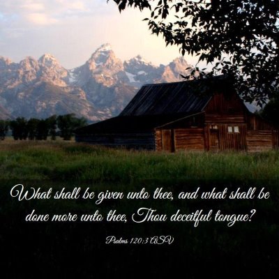 Picture 03 - Psalms 120:3 ASV - What shall be given unto thee, and what shall be - Bible Verse Picture