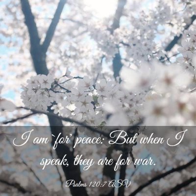 Picture 03 - Psalms 120:7 ASV - I am `for' peace: But when I speak, they are for - Bible Verse Picture