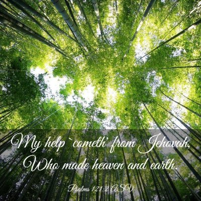 Picture 03 - Psalms 121:2 ASV - My help `cometh' from Jehovah, Who made heaven - Bible Verse Picture