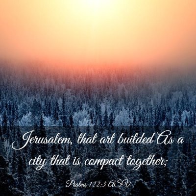 Picture 03 - Psalms 122:3 ASV - Jerusalem, that art builded As a city that is - Bible Verse Picture