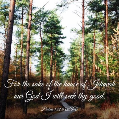Picture 03 - Psalms 122:9 ASV - For the sake of the house of Jehovah our God I - Bible Verse Picture