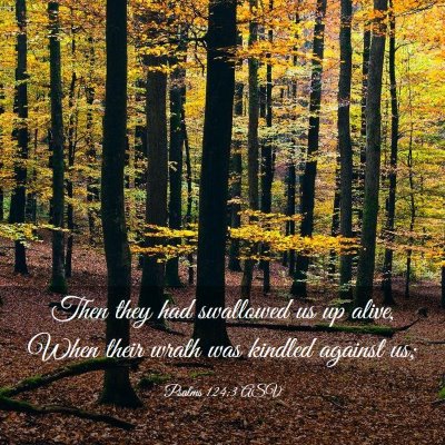Picture 03 - Psalms 124:3 ASV - Then they had swallowed us up alive, When their - Bible Verse Picture