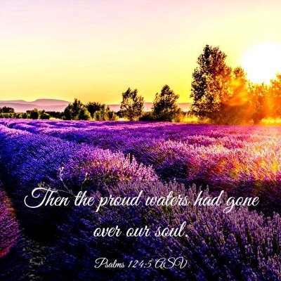 Picture 03 - Psalms 124:5 ASV - Then the proud waters had gone over our - Bible Verse Picture