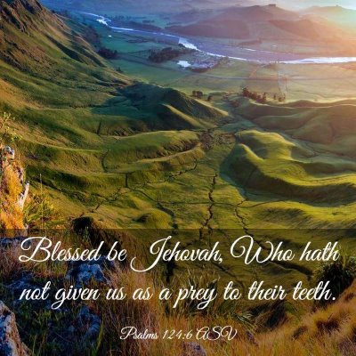 Picture 03 - Psalms 124:6 ASV - Blessed be Jehovah, Who hath not given us as a - Bible Verse Picture
