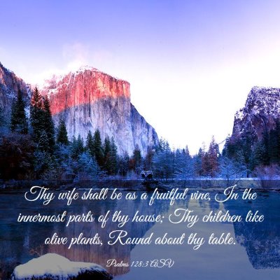 Picture 03 - Psalms 128:3 ASV - Thy wife shall be as a fruitful vine, In the - Bible Verse Picture