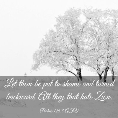 Picture 03 - Psalms 129:5 ASV - Let them be put to shame and turned backward, All - Bible Verse Picture