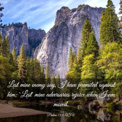 Picture 03 - Psalms 13:4 ASV - Lest mine enemy say, I have prevailed against - Bible Verse Picture