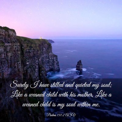 Picture 03 - Psalms 131:2 ASV - Surely I have stilled and quieted my soul; Like a - Bible Verse Picture