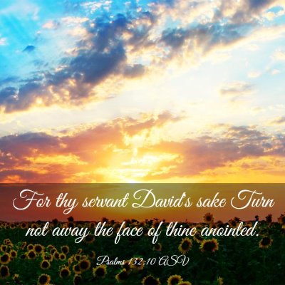 Picture 03 - Psalms 132:10 ASV - For thy servant David's sake Turn not away the - Bible Verse Picture