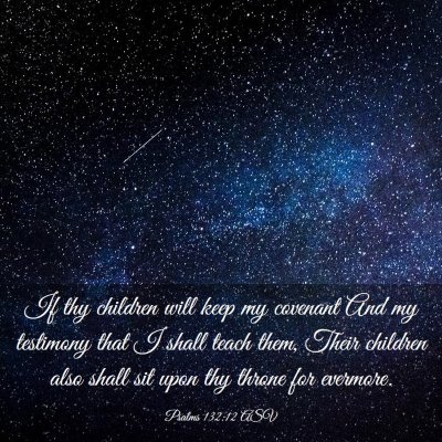 Picture 03 - Psalms 132:12 ASV - If thy children will keep my covenant And my - Bible Verse Picture