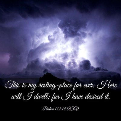 Picture 03 - Psalms 132:14 ASV - This is my resting-place for ever: Here will I - Bible Verse Picture