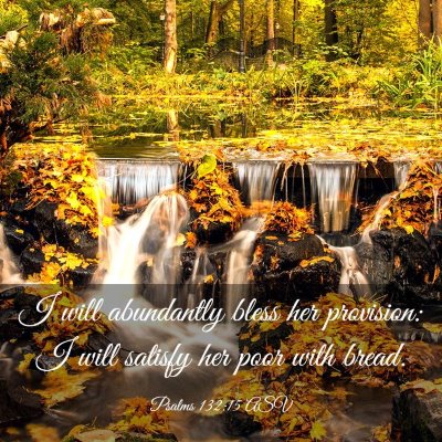 Picture 03 - Psalms 132:15 ASV - I will abundantly bless her provision: I will - Bible Verse Picture