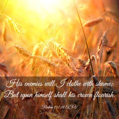Picture 03 - Psalms 132:18 ASV - His enemies will I clothe with shame; But upon - Bible Verse Picture