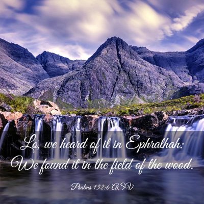 Picture 03 - Psalms 132:6 ASV - Lo, we heard of it in Ephrathah: We found it in - Bible Verse Picture