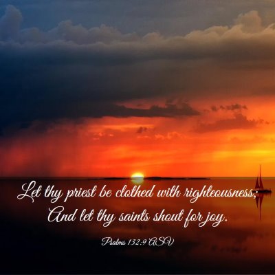 Picture 03 - Psalms 132:9 ASV - Let thy priest be clothed with righteousness; And - Bible Verse Picture