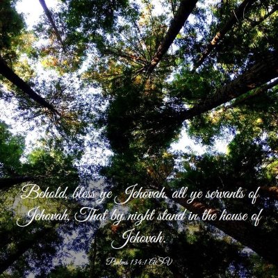 Picture 03 - Psalms 134:1 ASV - Behold, bless ye Jehovah, all ye servants of - Bible Verse Picture