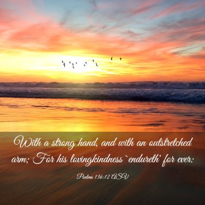 Picture 03 - Psalms 136:12 ASV - With a strong hand, and with an outstretched arm; - Bible Verse Picture
