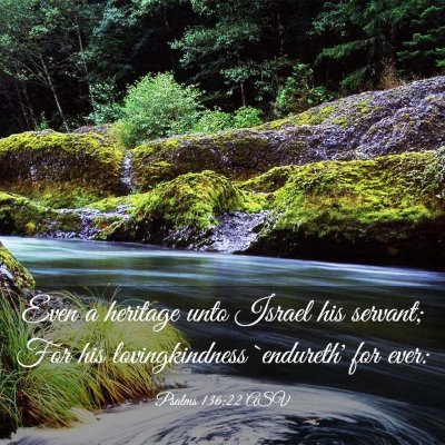 Picture 03 - Psalms 136:22 ASV - Even a heritage unto Israel his servant; For his - Bible Verse Picture