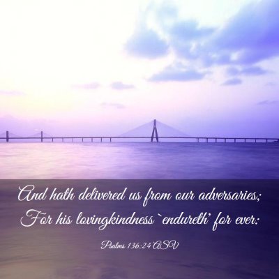 Picture 03 - Psalms 136:24 ASV - And hath delivered us from our adversaries; For - Bible Verse Picture