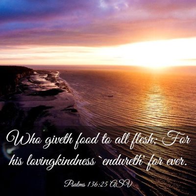 Picture 03 - Psalms 136:25 ASV - Who giveth food to all flesh; For his - Bible Verse Picture