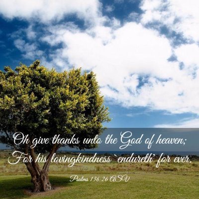 Picture 03 - Psalms 136:26 ASV - Oh give thanks unto the God of heaven; For his - Bible Verse Picture