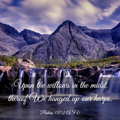 Picture 03 - Psalms 137:2 ASV - Upon the willows in the midst thereof We hanged - Bible Verse Picture