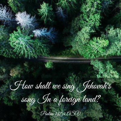 Picture 03 - Psalms 137:4 ASV - How shall we sing Jehovah's song In a foreign - Bible Verse Picture