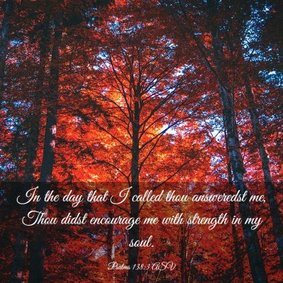 Picture 03 - Psalms 138:3 ASV - In the day that I called thou answeredst me, Thou - Bible Verse Picture