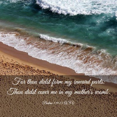 Picture 03 - Psalms 139:13 ASV - For thou didst form my inward parts: Thou didst - Bible Verse Picture