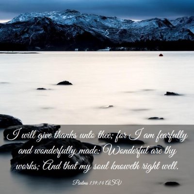 Picture 03 - Psalms 139:14 ASV - I will give thanks unto thee; for I am fearfully - Bible Verse Picture
