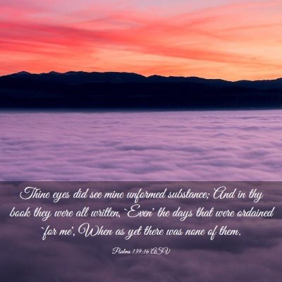 Picture 03 - Psalms 139:16 ASV - Thine eyes did see mine unformed substance; And - Bible Verse Picture