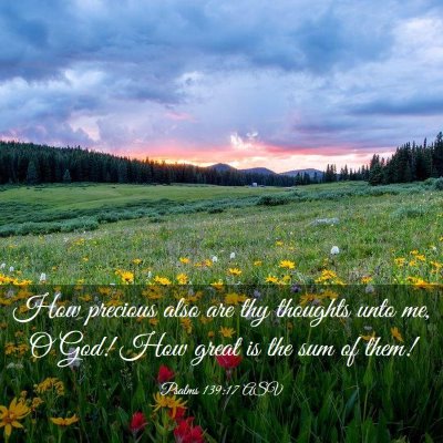 Picture 03 - Psalms 139:17 ASV - How precious also are thy thoughts unto me, O - Bible Verse Picture