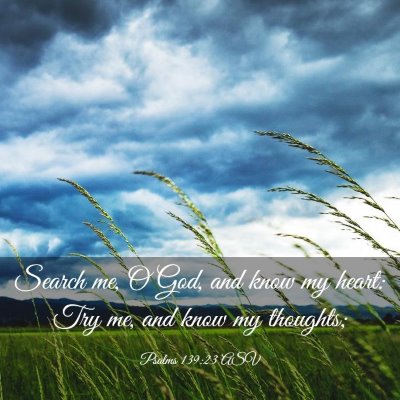 Picture 03 - Psalms 139:23 ASV - Search me, O God, and know my heart: Try me, and - Bible Verse Picture