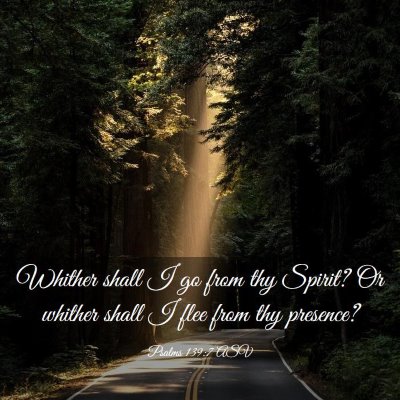 Picture 03 - Psalms 139:7 ASV - Whither shall I go from thy Spirit? Or whither - Bible Verse Picture