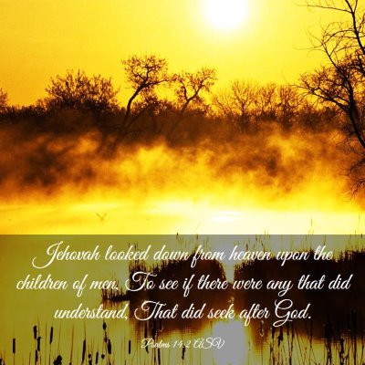 Picture 03 - Psalms 14:2 ASV - Jehovah looked down from heaven upon the children - Bible Verse Picture