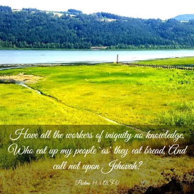 Picture 03 - Psalms 14:4 ASV - Have all the workers of iniquity no knowledge, - Bible Verse Picture