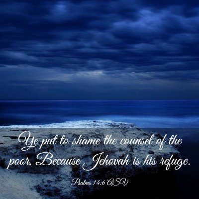 Picture 03 - Psalms 14:6 ASV - Ye put to shame the counsel of the poor, Because - Bible Verse Picture