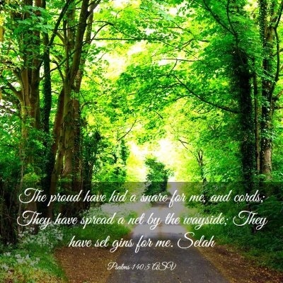 Picture 03 - Psalms 140:5 ASV - The proud have hid a snare for me, and cords; - Bible Verse Picture