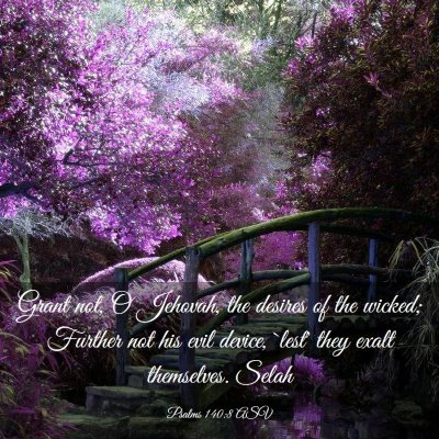 Picture 03 - Psalms 140:8 ASV - Grant not, O Jehovah, the desires of the wicked; - Bible Verse Picture