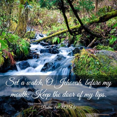 Picture 03 - Psalms 141:3 ASV - Set a watch, O Jehovah, before my mouth; Keep the - Bible Verse Picture