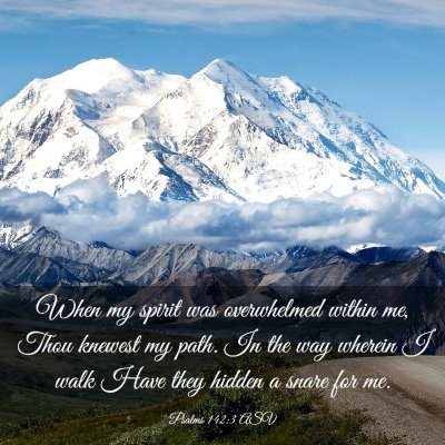 Picture 03 - Psalms 142:3 ASV - When my spirit was overwhelmed within me, Thou - Bible Verse Picture
