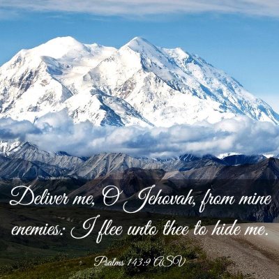 Picture 03 - Psalms 143:9 ASV - Deliver me, O Jehovah, from mine enemies: I flee - Bible Verse Picture