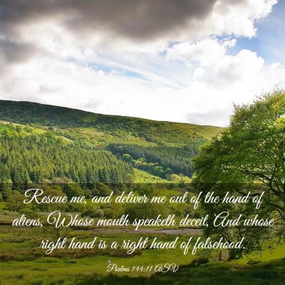 Picture 03 - Psalms 144:11 ASV - Rescue me, and deliver me out of the hand of - Bible Verse Picture
