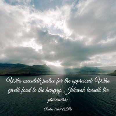 Picture 03 - Psalms 146:7 ASV - Who executeth justice for the oppressed; Who - Bible Verse Picture