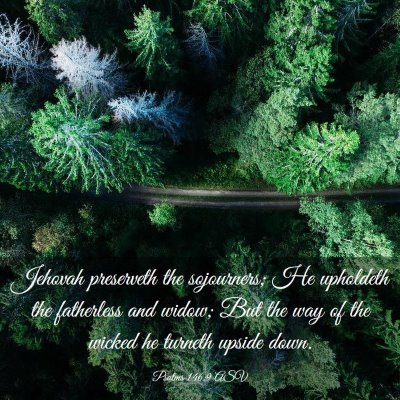 Picture 03 - Psalms 146:9 ASV - Jehovah preserveth the sojourners; He upholdeth - Bible Verse Picture