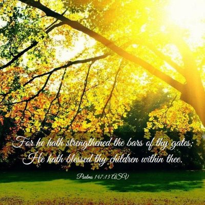 Picture 03 - Psalms 147:13 ASV - For he hath strengthened the bars of thy gates; - Bible Verse Picture